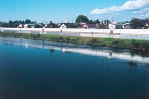 大石田町俯瞰図